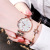 WeChat Wish Fashion Starry Steel Band Roman Digital Women's Watch Factory Direct Sales Student Quartz Watch