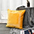 Winter Netherlands Velvet Pillow Cover Flannel Entry Lux Pillow Bed Sofa Backrest Velvet Retro Winter Cushion Cover