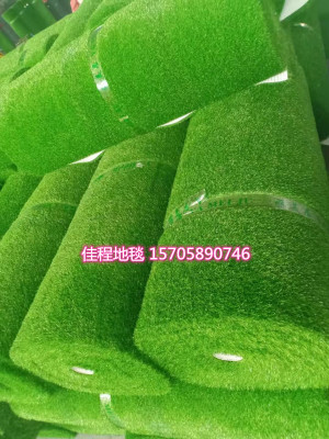 TPR Simulation Lawn Carpet Lawn Mat PVC Coiled Material Carpet Mats Outdoor Mat Decorative Pad Imitation Grass Coiled 