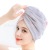 [Nalan Duoduo] Brocade Snow Velvet Contrast Color Super Water-Absorbing and Quick-Drying Hair-Drying Cap Toque Wholesale