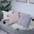 2022new Ins Style Big Pillow Sofa Cushion Short Wind Fur Ball Sleeping Girl Bed Bay Window