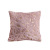 Double-Sided Feather Bronzing Plush Pillowcase Cross-Border Amazon Home Nordic Sofa Cushion Office Cushion Cover