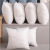 Simple Modern Sofa Bedroom Non-Woven Pp Cotton Pillow Core Brushed Cloth Pillow Core Home Cushion Pillow Inner