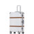 Double Leather Strip Retro Aluminum-Magnesium Alloy Trolley Case Student Luggage Brake Universal Wheel plus Password Suitcase TSA Lock