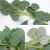Factory Wholesale Emulational Eucalyptus Rattan 2 M Gold Money Leaf Eucalyptus Leaves Decorative Winding Vine for Amazon