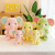 Novelty Toys Cute down Cotton Banana Elephant Doll Plush Toys Soothing Stall Promotion Children's Toys