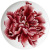 Big Peony Creative Bone Porcelain Plate Set Hand Painted Flower Hotel Steak Plate Factory Direct Deliver