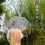 Umbrella Three Fold Heart Printing Transparent Umbrella Korean Style Fresh Sun Umbrella Gift Advertising Umbrella