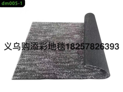 TIANCAI  New Door Mat Pad Scraping Hydrophilic Pad 50 × 80cm Resist Dirt Anti-Slip Carpet