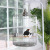 Bird Cage Stainless Steel round Large and Small Luxury Bird Cage Dog and Supplies Dog Kennel Pet and Gardening