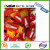 Nail-Beauty Glue Thang-Ga Single Clamshell Packaging 10G Nail Gel Fake Nail Tip Glue DC Sing So