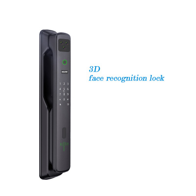 3D Face Recognition Smart Lock with Cat Eye Dingding Smart WiFi Remote Video Call Fingerprint Password Automatic Lock