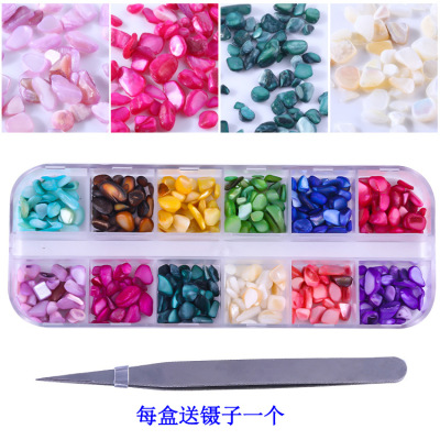 Cross-Border Nail Shell Stone 12-Color Color Stone Tweezers Long Box Ornament Set Nail Factory Direct Sales