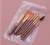 Macaron 8 Mini Makeup Brushes Set Full Set Portable Soft Hair Foundation Blush Brush Beauty Tools Manufacturer