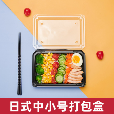 Customized Disposable Japanese-Style Lunch Box Siamese Sushi Bento Lunch Box Creative Light Food Fruit Salad Takeaway Packing Box