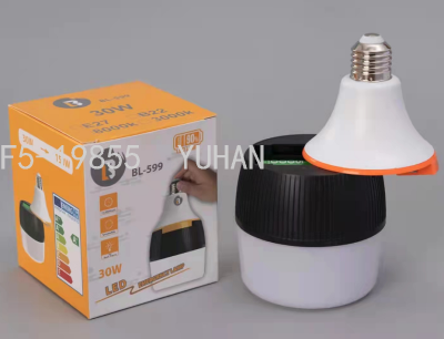Detachable Rechargeable Light 30W, Brightness Can Be Segmented