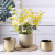 Nordic Simple Golden Ceramic Vase Light Luxury Flower Home Decoration Living Room TV Cabinet Dining Table Vase Decoration