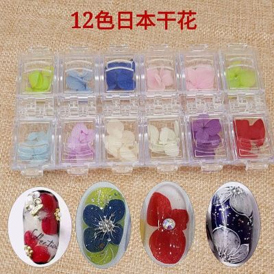 Manicure Japanese Dried Flower 6-Color Three-Dimensional Natural Plant Hydrangea Nail Ornament Gel Nail Polish Preserved Fresh Flower