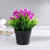 Artificial Flower Plastic Simulation Colored Flowers Decoration Home Office Supermarket Creative Decoration Spot