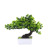 Imitative Tree Simulation Bonsai Plastic Welcome Pine Decoration Home Office Potted Decoration Entrance Decoration Decoration