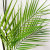Imitative Tree Palm Leaf Areca Palm Home Wedding Photography Decoration Nordic Style Simulation Green Plant Fake Trees
