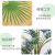 Imitative Tree Simulation Areca Palm Bonsai Indoor Landscaping Fake Trees Decoration Palm Sunflower Nordic Style Green Plant Phoenix Tail Sunflower