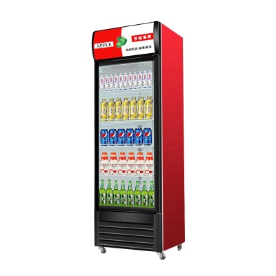 Commercial beverage showcase refrigerator beer display cabin