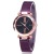 New Wholesale TikTok Same Style Starry Sky Women's Watch Magnet Magnet Milan Mesh Strap Watch Casual Women's Watch