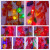 New Year Led Firecracker Simulation Electronic Cannon with Sound Lighting Chain Chinese New Year Family Hanging Decoration Color Lighting Chain