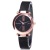 New Wholesale TikTok Same Style Starry Sky Women's Watch Magnet Magnet Milan Mesh Strap Watch Casual Women's Watch