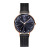 Chronobi Sinobi Milan Magnetic Snap Strap Starry Sky Light Luxury Diamond-Embedded Fashion Women's Watch Wholesale 9793