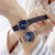 Chronobi Sinobi Milan Magnetic Snap Strap Starry Sky Light Luxury Diamond-Embedded Fashion Women's Watch Wholesale 9793