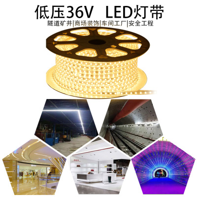 Low Voltage 36V Light Strip Shopping Mall Engineering PVC Highlight Soft Light Strip Outdoor Atmosphere Decoration Tunnel Engineering Shipbuilding Home Decoration