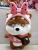 Douyin Online Influencer Girl Heart Shiba Inu Puppy Doll Ins Plush Toy Wangwang Dog Doll Birthday Gift for Girls