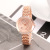 Factory Wholesale Foreign Trade New Diamond Bracelet Watch Fashion Quartz Watch Versatile Ladies Watch Hot Steel Strap Women's Watch