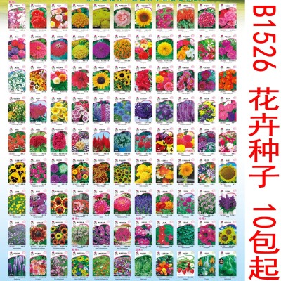 168.26 Flower Seeds Family Balcony Potted Garden Easy to Plant Cucumber Pepper Watermelon Seeds