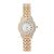 Wholesale Foreign Trade Popular Style Small and Simple Watch Fashion Elegant Graceful Watch All-Match Diamond Quartz Watch Women's Watch