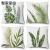 Modern Simple Ins Style White Linen Green Plant Digital Printing Pillow Cross-Border Home Sofa Cushion Cover Bedside Cushion