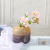Factory Direct Supply Creative Retro Nordic Style Glass Vase Furniture Ornament Furnishing Flowers Hydroponic Flower Container Wholesale