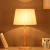 Simple Modern Table Lamp American Creative Living Room Bedroom Study Bedside Lamp Fashion Personality Hotel Model Room Lamps