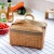 Outdoor Thermal Picnic Basket Japanese Garden Style Rattan-like Lunch Bag Snack Fruit Storage Portable Outing Basket