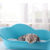 Spot Goods Pet Bed Cat Cat Nest Small Dog Pregnancy Bed Pet Peace of Mind Delivery Maternity Bed Four Seasons Universal with Mat