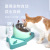 Cross-Border New Arrival Pet Stainless Steel Cat Bowl Dog Basin Anti-Tumble Medium Dog Bowl Drinking Water Feeder Cat Diet Basin