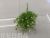 New Artificial Flower Single Starry Green Plant Vase Decoration Living Room Dining Room and So on