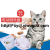 Amazon New Electric Cat Toy Cat Turntable Crazy Amusement Plate Cat Catch Mouse Doggs Pet Supplies