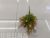 New Artificial Flower Single Starry Green Plant Vase Decoration Living Room Dining Room and So on