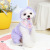 Pet Clothing Dog Cat Clothes Spring/Summer Clothes Pet Teddy Clothes Pet Clothing 22 Pumpkin Pants with Hat