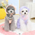 Pet Clothing Dog Cat Clothes Spring/Summer Clothes Pet Teddy Clothes Pet Clothing 22 Pumpkin Pants with Hat