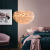 Bedroom Feather Chandelier Nordic Lamps Modern Minimalist Master Bedroom Ins Internet Hot Girlish Chandelier