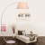 Living Room Sofa Corner Floor Lamp Modern Minimalist Study Nordic American Creative Fishing Floor Lamp